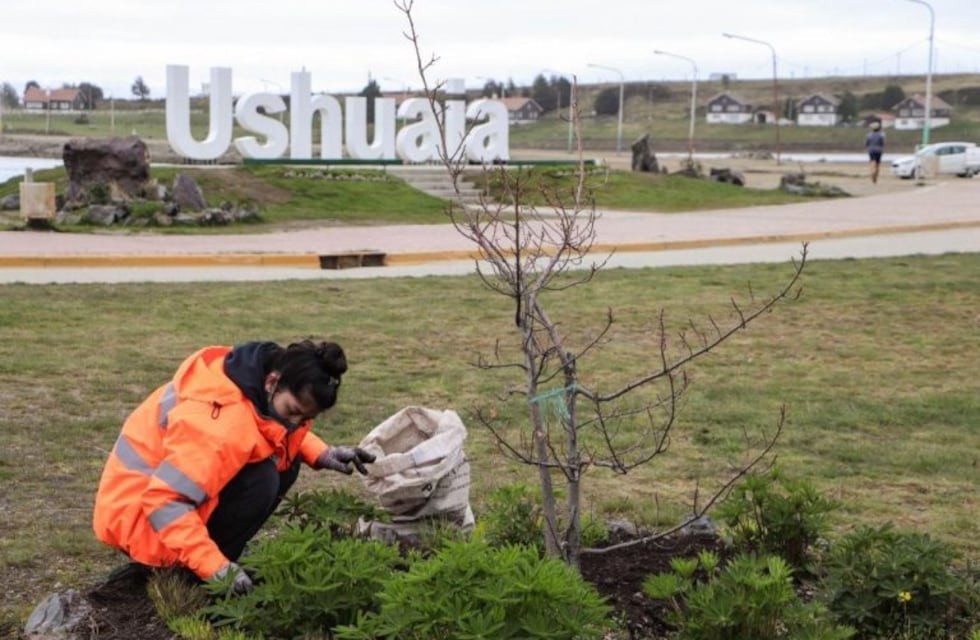 Ushuaia: continuán los trabajos de embellecimiento de la ciudad