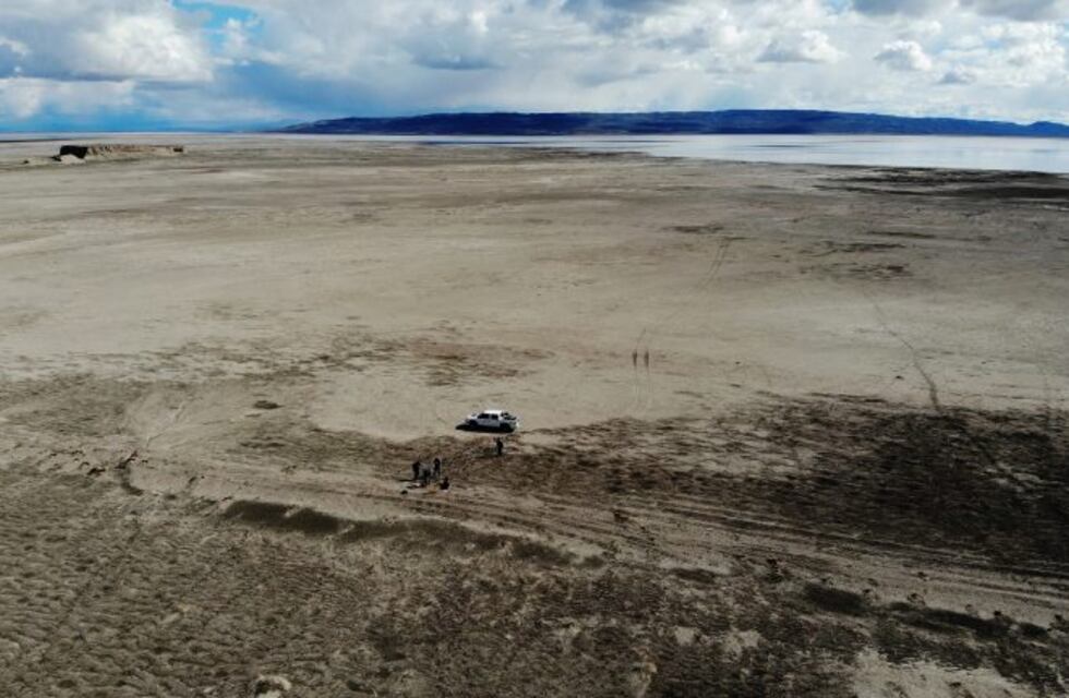 Hallaron fósiles de un reptil marino de 140 millones de años de antigüedad en Neuquén