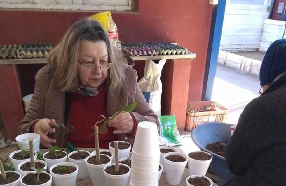 Arroyito suma espacios recreativos para adultos mayores