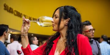 Premium Wines Experience 2019\u002E