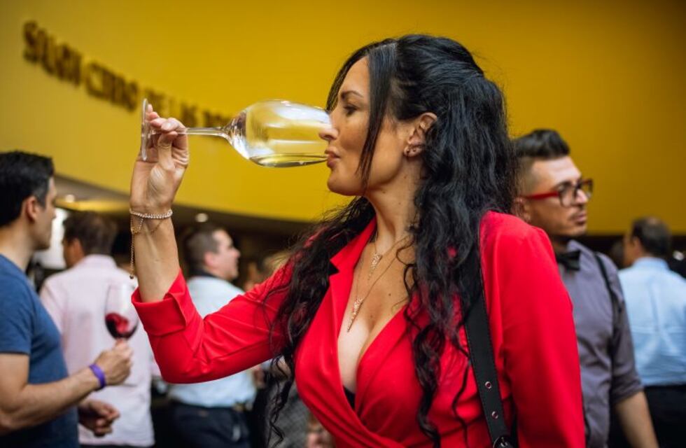Mil personas por día fueron a la Premium Wines Experience 2019