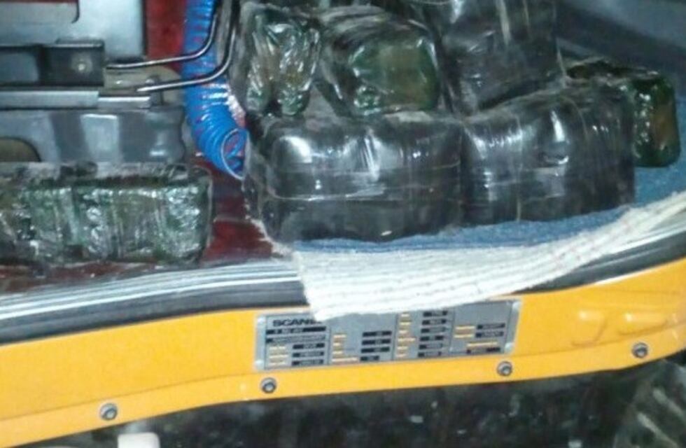 Confiscaron 25 kilos de hojas de coca en un camión en Lavalle