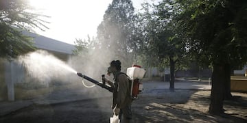 Imagen archivo\u002E Un fumigador municipal rocía la zona para prevenir el mosquito del dengue\u002E (AP Photo/Jorge Saenz) \u002E
