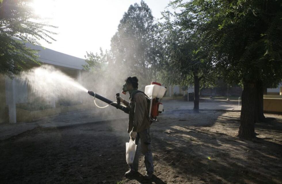 Identificaron un posible caso de dengue en Chaco