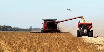 Soybean plants are harvested at a field in the city of Chacabuco in this April 24, 2013 file photo\u002E Grains powerhouse Argentina could increase soy, corn and wheat output by as much as a fifth if the president elected next year scraps export quotas, eases taxes and reverses other policies that have slowed investment, farmers and commodity traders say\u002E To match Analysis ARGENTINA-GRAINS/ REUTERS/Enrique Marcarian/File (ARGENTINA - Tags: AGRICULTURE BUSINESS POLITICS SOCIETY) buenos aires plantacion de soja cosecha en un campo de Chacabuco cosechadora campo sembrado