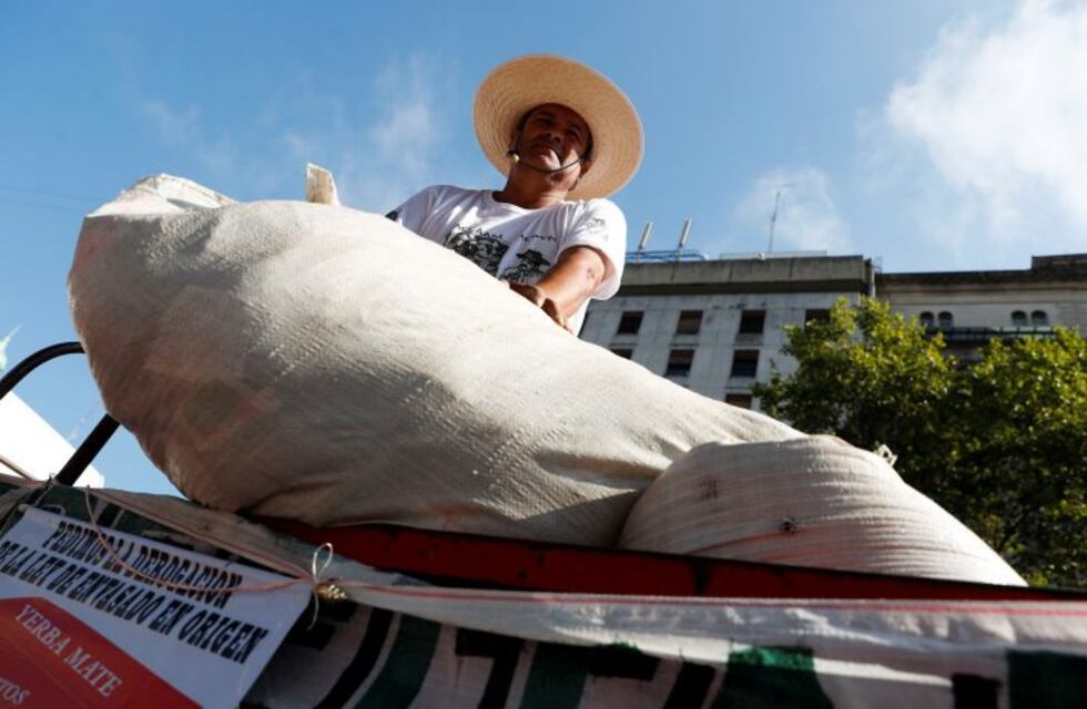Diputados discutió sobre la posible desregulación del mercado yerbatero