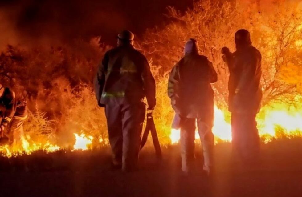 Un incendio en La Punta arrasó con cientos de hectáreas de monte nativo
