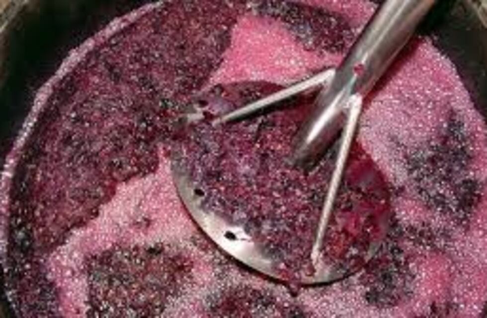 En los primeros 5 meses del año, las exportaciones de mosto subieron un 50%