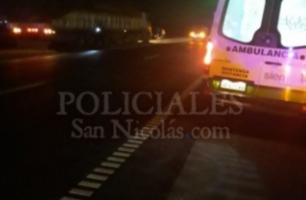 Un caballo suelto casi desata una tragedia en la autopista
