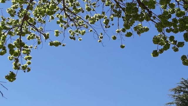San Luis cielo despejado