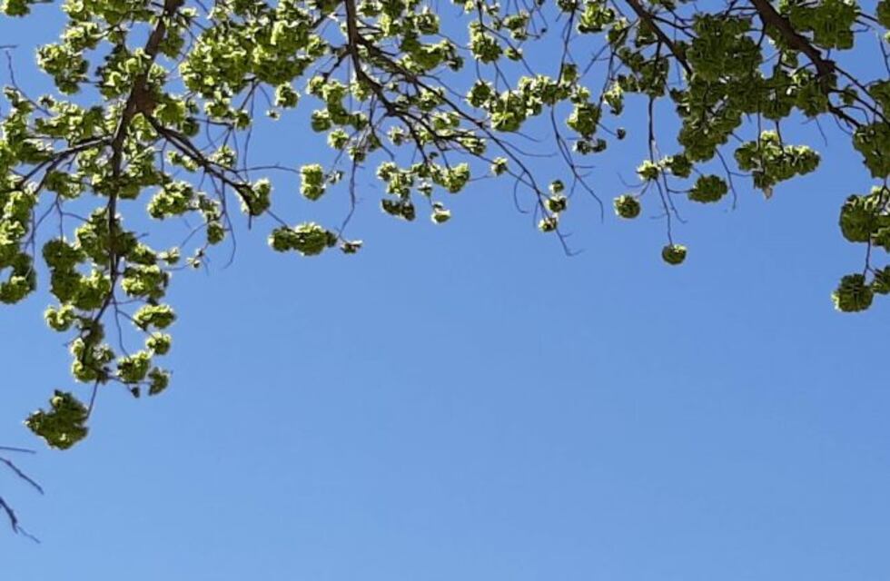 Martes caluroso en San Luis