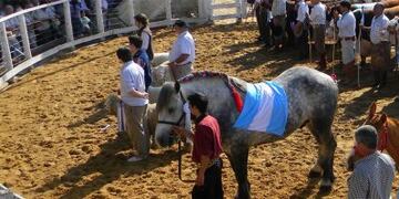 Expo Ganadera (archivo)\nCrédito: Web