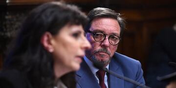 Guastavino (Nuevo Código Penal)\nCrédito: Prensa Senador