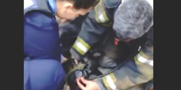 Los bomberos de San Francisco, Córdoba, se transformaron en héroes al salvar a un perro desmayado en un incendio\u002E (Captura de video y La Voz de San Justo)