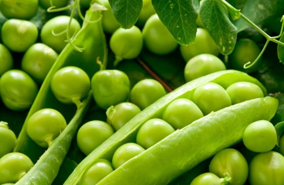 Salud: ¿Algunos alimentos pueden retrasar la menopausia?