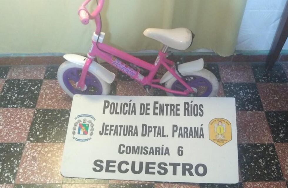 Le robó la bicicleta a una nena de 3 años, intentó venderla y su madre le pegó un ladrillazo