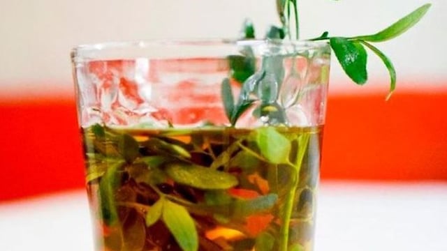 Por qué hay que tomar caña con ruda el 1º de agosto.