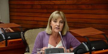 La diputada Liliana Fellner cuestionó la \