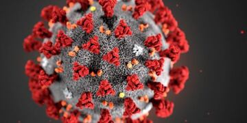 La molécula del coronavirus (Foto: web)
