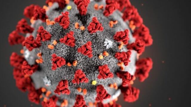 La molécula del coronavirus (Foto: web)