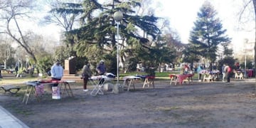 Feriantes de la Plaza Rocha de Mar del Plata realizaron una prueba piloto (Foto: Ahora Mar del Plata)