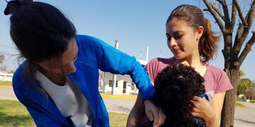 Vacunación en Ramona