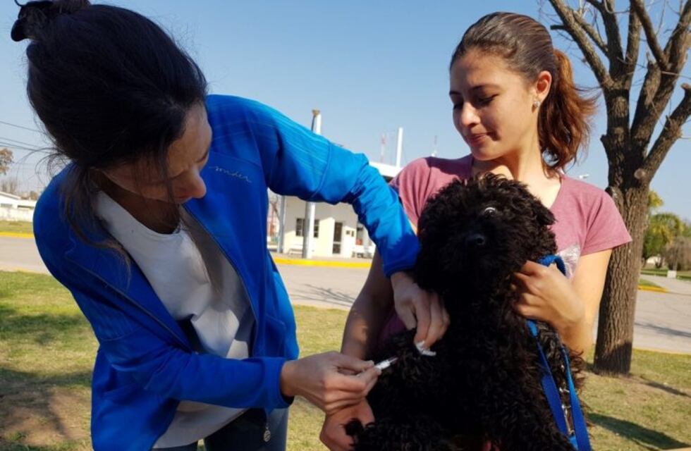 Vacunación antirrábica en barrio Córdoba, Paravachasca y Portales del Sol