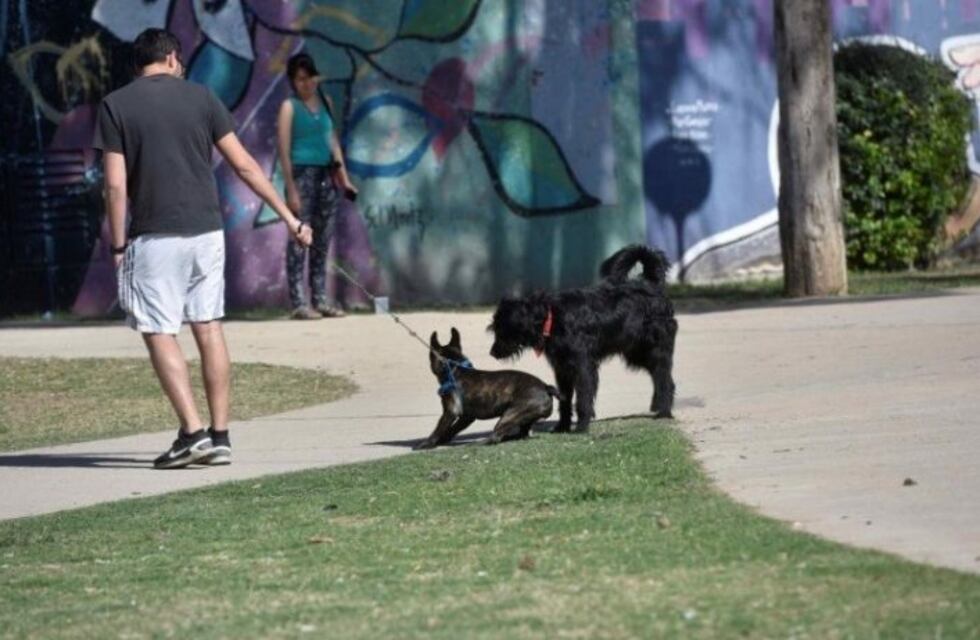 Capital sancionará a los dueños de las mascotas que dejen sus heces en espacios verdes