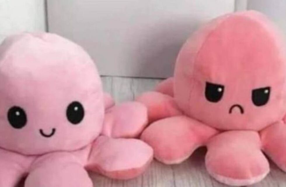 Pulpos de peluche reversibles causan furor en internet y tienen una función específica