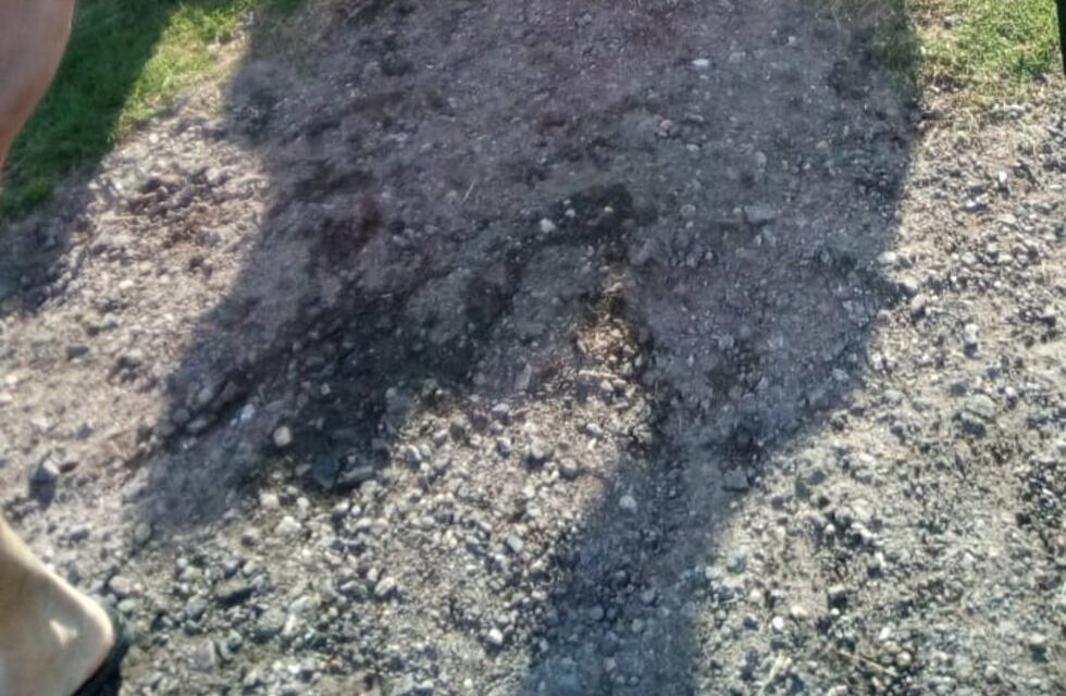 Bomberos Voluntarios evitaron que se ahogara un joven que huía de la Policía