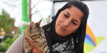 Campaña de vacunación antirrábica \nCrédito: PGB