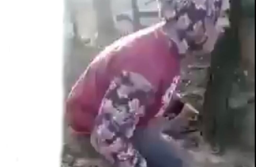 "¡Guarda el boyero!", el viral cordobés que es furor en redes