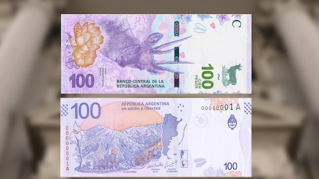 El último diseño del billete de $100, luego de haber lucido la imagen de Julio Argentino Roca y de Eva Perón. Foto: Archivo.