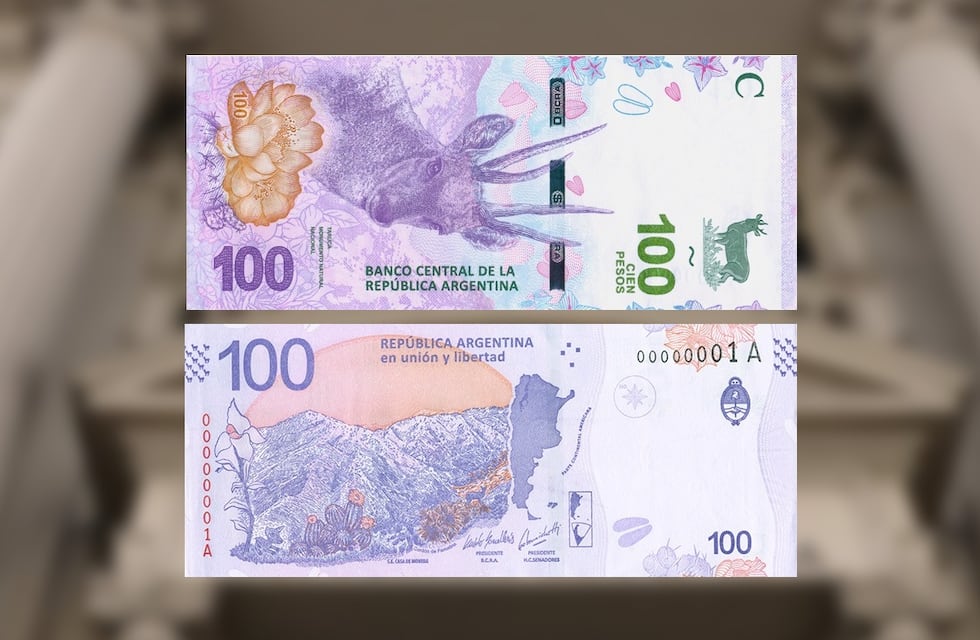 A 30 años de la creación del peso: qué se podía comprar con $100 en la década de los ‘90