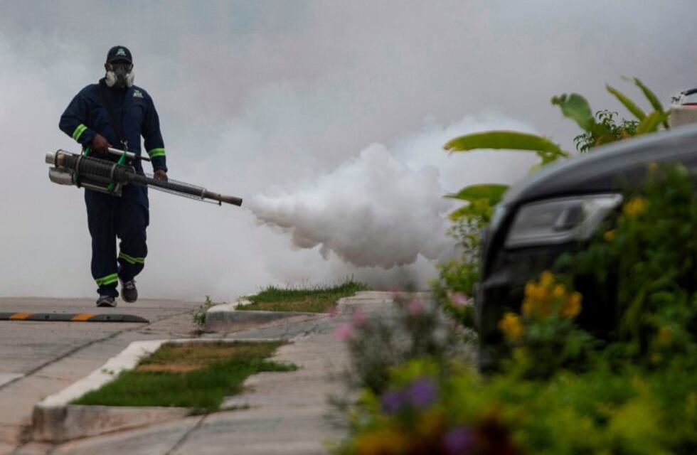 Los casos de dengue ya superan los mil en Tucumán