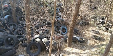 Confirmaron que hay más de 30 \