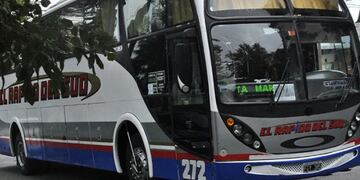 Dos líneas de colectivo suplantarán el servicio del Rápido del Sud, y llegarán al Boquerón