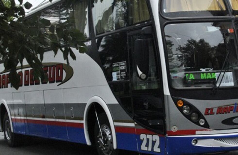 Dos líneas de colectivos suplantarán el servicio del Rápido del Sud y llegarán al Boquerón