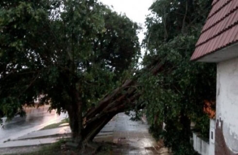 Paraná se vio afectada por fuertes vientos y tormentas