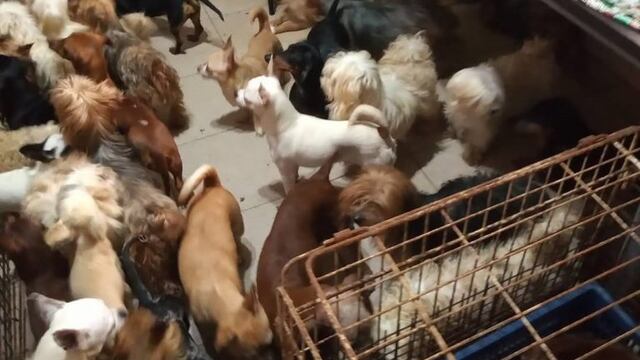 La Municipalidad clausuró el inmueble sobre Avenida Nuestra Señora del Rosario al 2000\u002E (FB / Protectora Rosario)