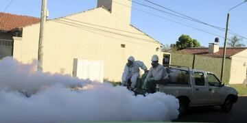 Dengue con la fumigación no alcanza y en Posadas insisten en vaciar cacharros\u002E (Mun\u002E de Posadas)