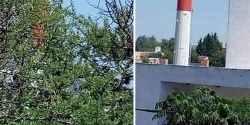 Instalación de antena telefónica en San Antonio de Arredondo\u002E