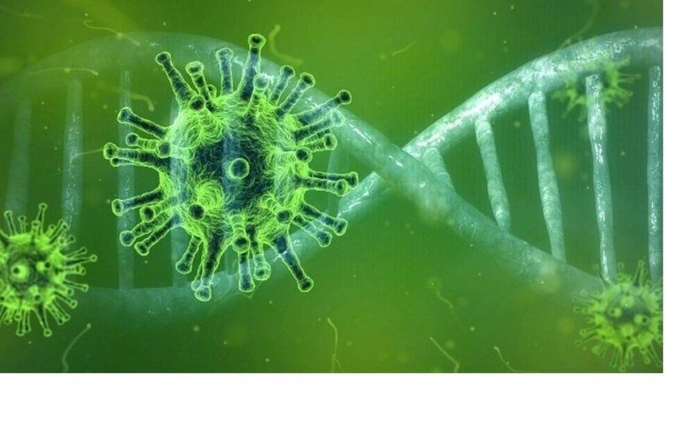 Coronavirus: Mendoza registró 613 nuevos casos y ocho fallecidos