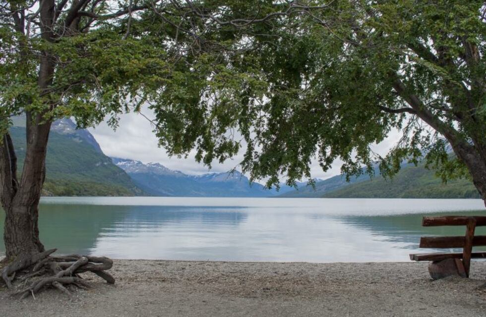 Definen como será el turismo de naturaleza post pandemia