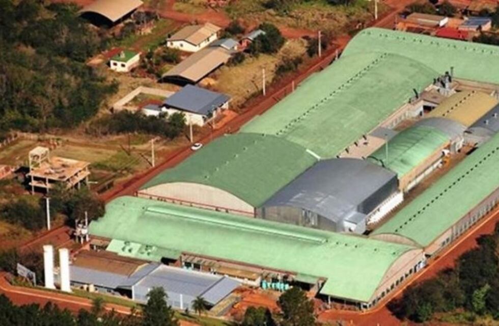 Ante los rumores de cierre, delegados de Dass desmienten que quieran formar una cooperativa