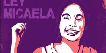Ley Micaela