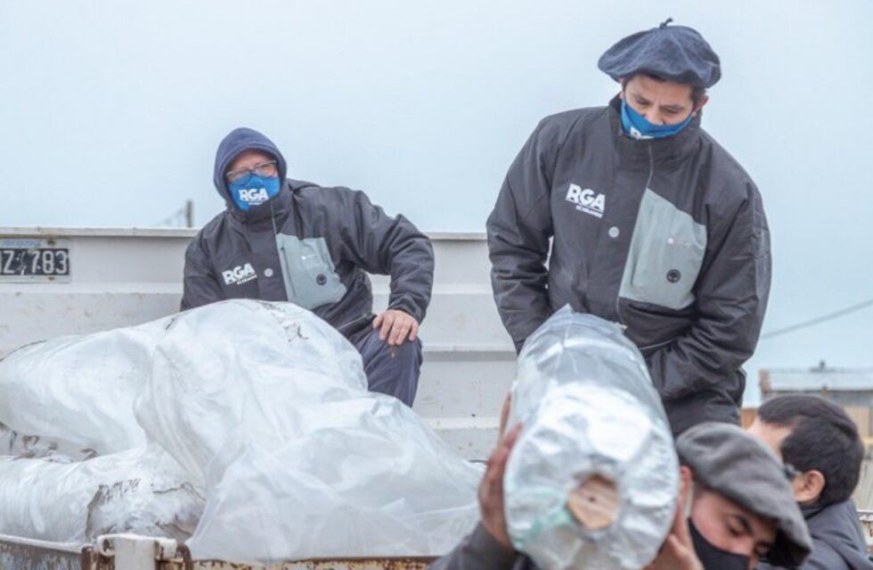 Productores locales recibieron materiales para construir invernaderos