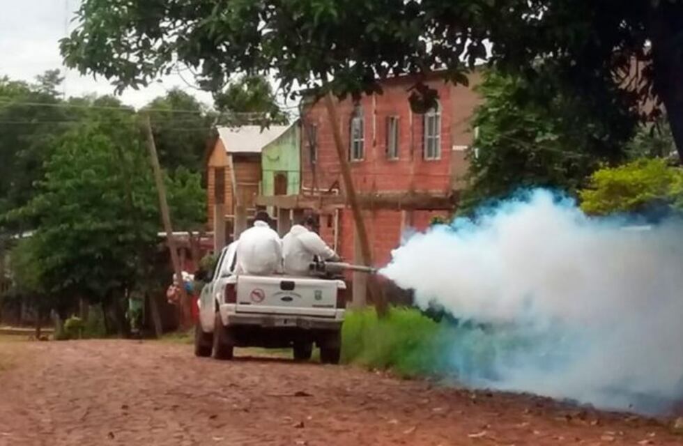Intensifican la lucha contra el dengue en la ciudad de Oberá