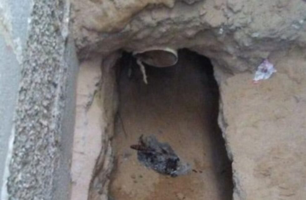 Hizo un pozo para espiar a su exesposa y quedó atrapado