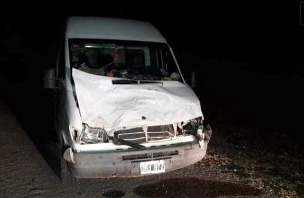 Se registró otro accidente por animales sueltos sobre la ruta